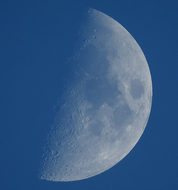 First Quarter, 51% of the Daylight Moon is Illuminated taken on December 28, 2014 with a Canon SX50 HS IMG_2182