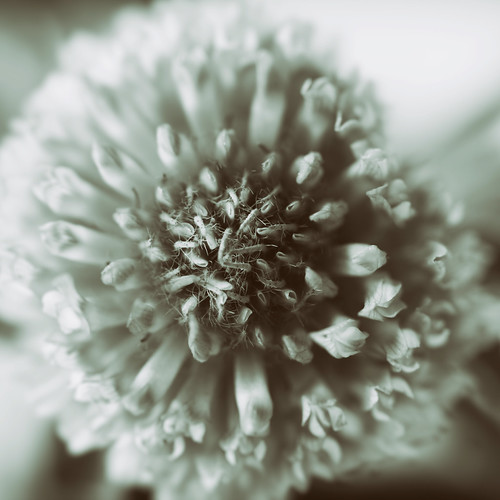 * | by bratli