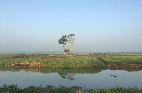 myanmar burma ayeyarwadyregion ayeyarwady irrawaddy delta maubindistrict maubin maubintownship maletto