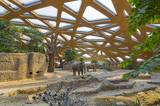 Inside the new elephant park