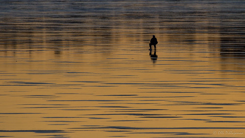 sunset espoo finland twilight fishing fi icefishing koti auringonlasku uusimaa parveke kalastus parvekekuva pilkkijä