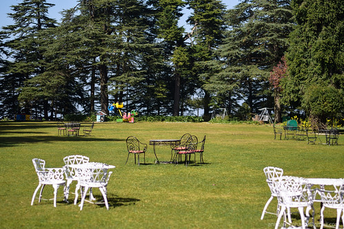 green table relax chair palace cedar grounds hilltop chail