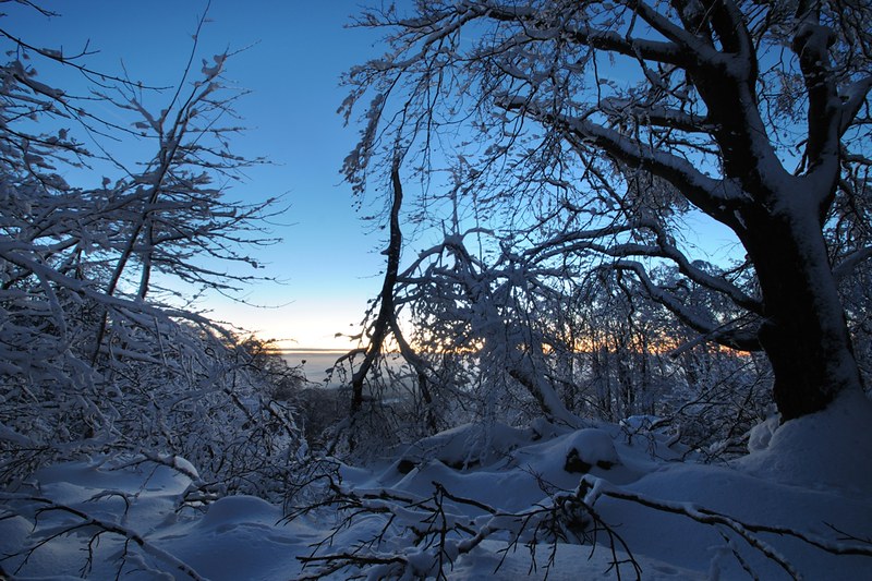 20150106-018F | Mondlicht trifft Morgendämmerung - am Kreuzberg. Rhön, 06.01.2015