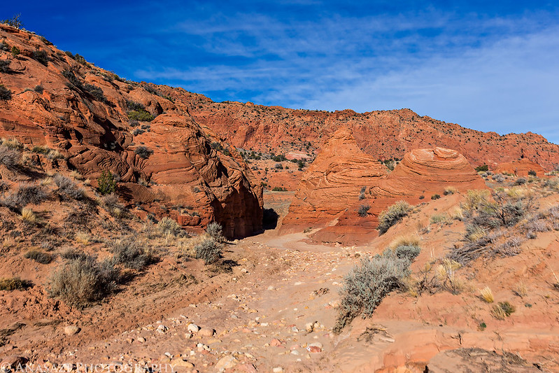 Out of the Narrows