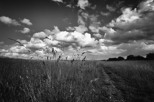 sky white black monochrome clouds angle wide fields