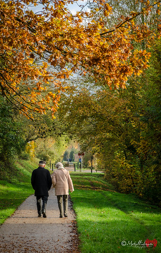 Promenade d'automne | by metallidream1