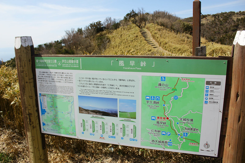 2014-03-31_00363_伊豆稜線トレイル.jpg