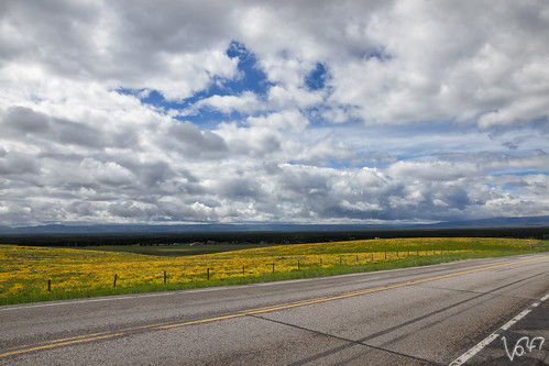 road sky cloud landscape montana 7d grassland
