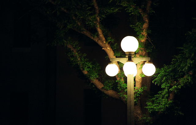 lampost lights and tree