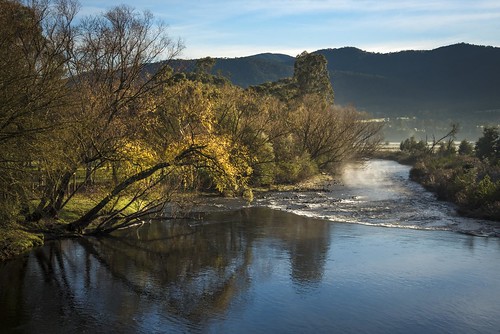 phunnyfotos australia victoria vic northeastvictoria tawonga kiewavalley kiewariver river autumn willows reflections reflection nikon d750 nikond750 tawongabridge mist misty fog foggy weather