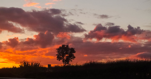 admiring the sunset sky while driving home | by carol_malky