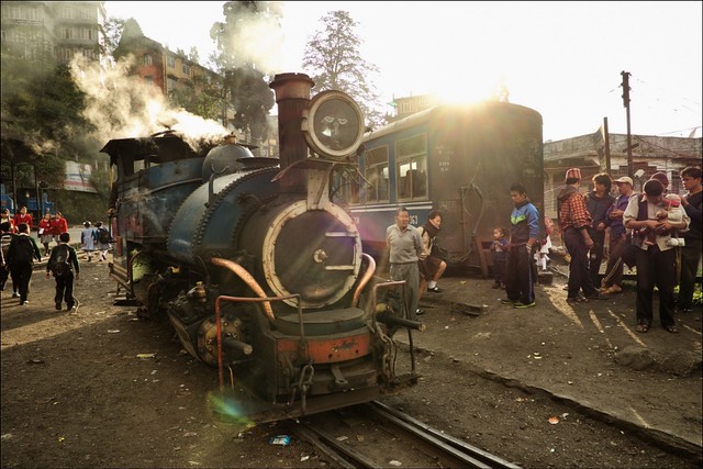 Steam train, Darjeeling