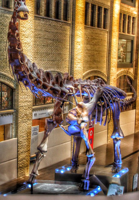 Toronto Ontario ~ Canada ~ Royal Ontario Museum ~ A Dinosaur Exhibit ~ Main Entrance