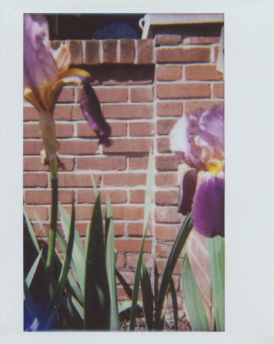 bad_framing_may_2016 | by Judy M. Boyle