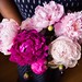 Morning! It's peony season!!! There were peonies at the grocery store yesterday. I may or may not have bought enough for almost every room:cherry_blossom:...... #peonies #freshflowers #thatsdarling #everydayeyecandy