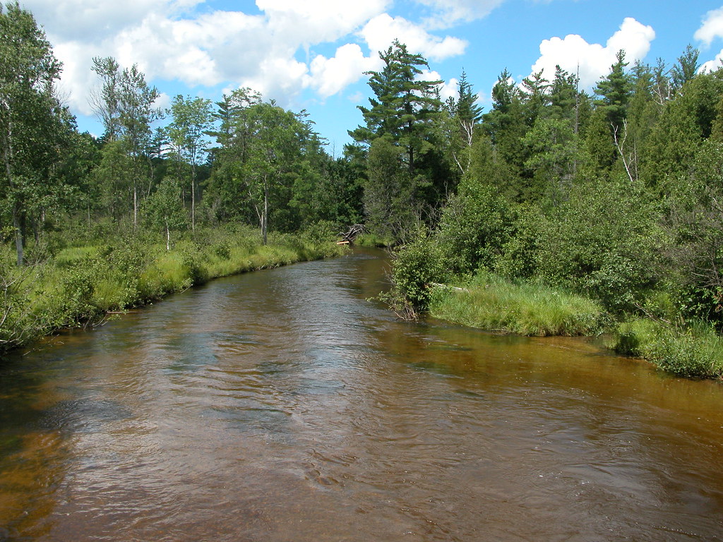 Little Manistee River