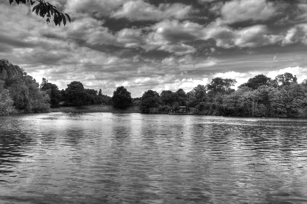 Hampstead Bathing Pond