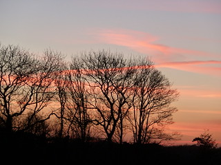 December Sunset (Berwick to Birling) 