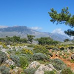 Sougia, Crete, Greece