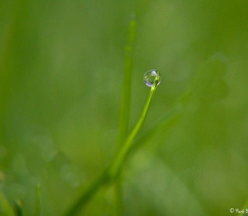 drop | by boycem