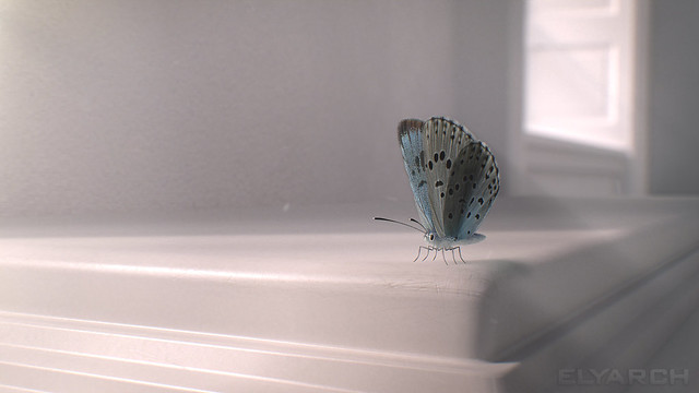 a frame from Gone? - a short film about hope and beauty, with slow motion