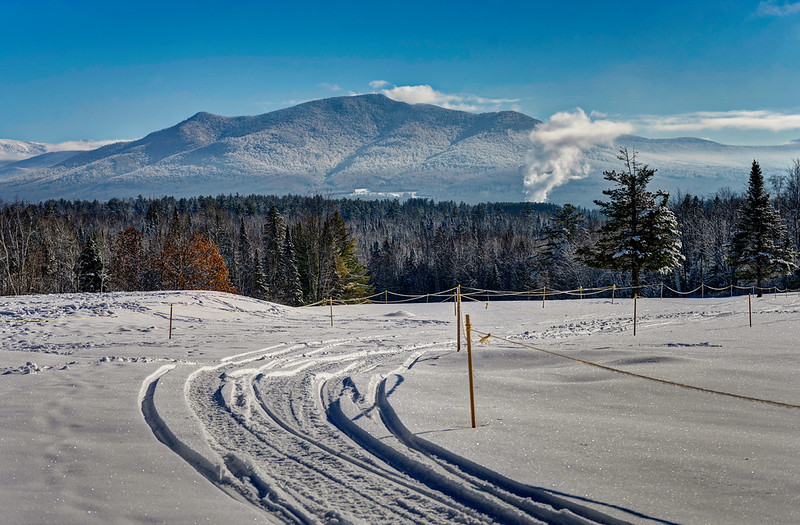 Whitefield, along the trail