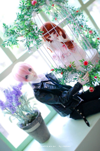 MaHa♥Annee | by nochanmi