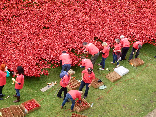 Volunteers, Poppies, Tower of London [Explored]