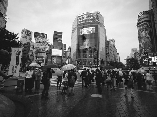 Shibuya crossing | by seasonal wanderer