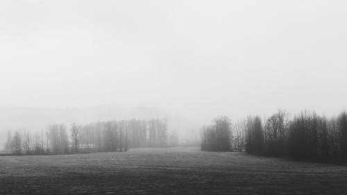 blackandwhite fog foggy nature pacificnorthwest landscape field canoneos5dmarkiii canonef2470mmf28lusm monochrome washington