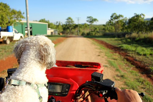Max's View | by Say! Little Hen