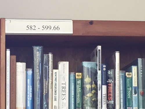 Shelf numbers | by MattieByrd