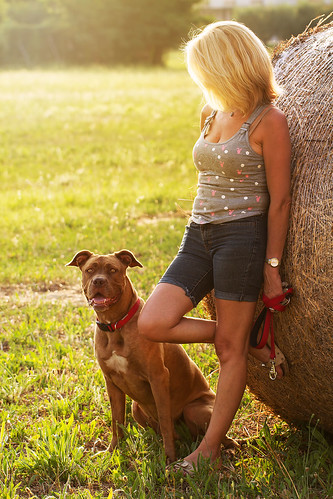 Walking in the sunset by GiòPhotos ( GioviTheVet ), sunset dog cane lady donna corn women tramonto fieno