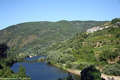 Rio Mondego - Portugal