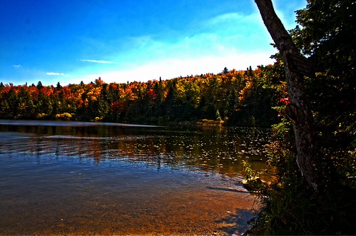 Fall Refectons | by Sunset Master