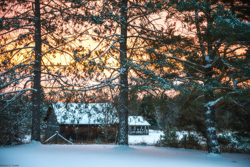 pink sky snow ontario canada barn sunrise explore pines riverwood d600 northkawartha briandtucker