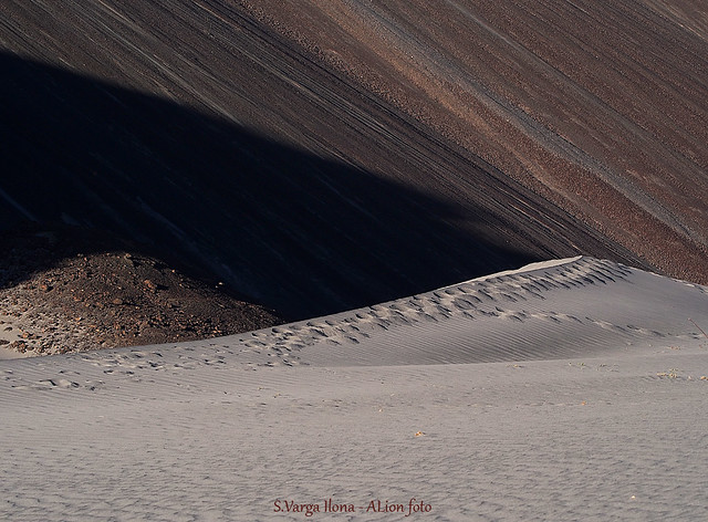 Desert footprints in Nubra Valley - Ladakh