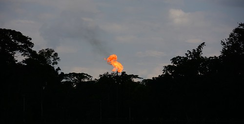 rio ecuador amazon rainforest flame oil production napo stacks biodiversity