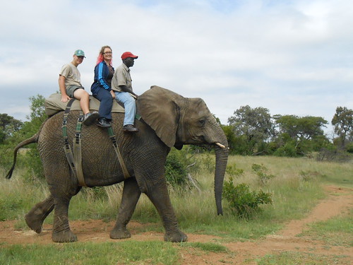 08h00 interaction & safari 140 | by gooselsmith
