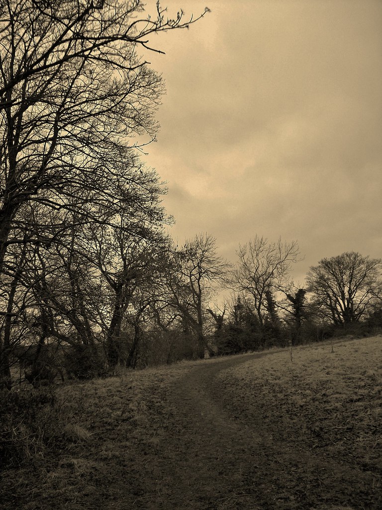 Gainford in Winter 038 - post production - sepia