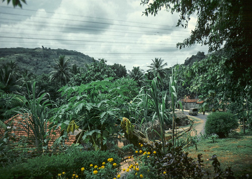 srilanka central countryside kodachrome 35mm slide film