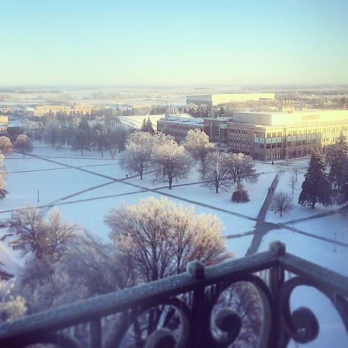 It's a chilly climb to the top of the Campanile today, but the view is worth each step.