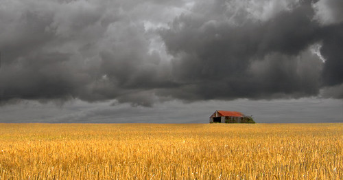 uk sky cloud storm field wales barn canon eos farm wheat cymru cardiff crop caerdydd glamorgan 5d agriculture sthilary cowbridge wentloog stevegarrington
