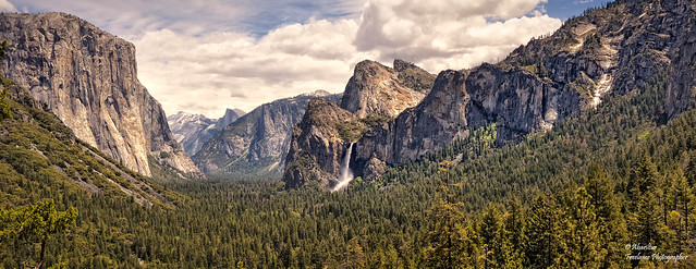 Yosemite National Park. California (USA)