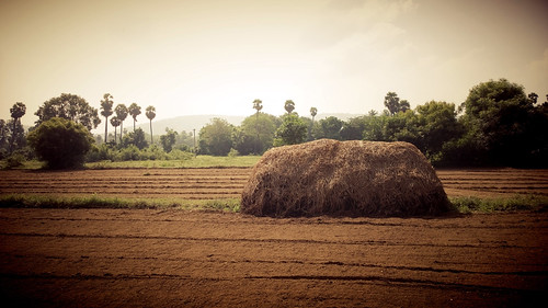 indian straw bundle by Pureview photography, Thiruthani, Taml Nadu