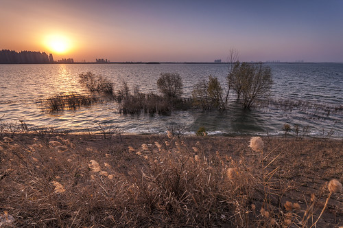 china city winter sunset lake cold nature landscape wind dusk dam reservoir clear withered hefei dafangying