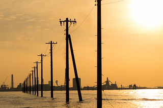 Utility Poles on the water