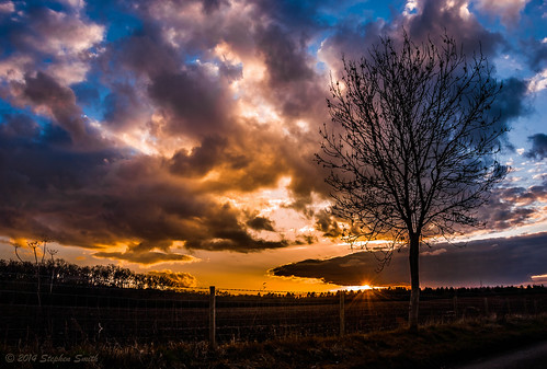 2014 spring march landscape scenery countryside nature geddington northamptonshire england uk nikon d80 tree hedgerow fields fence sunset colour red blue clouds cloudscape