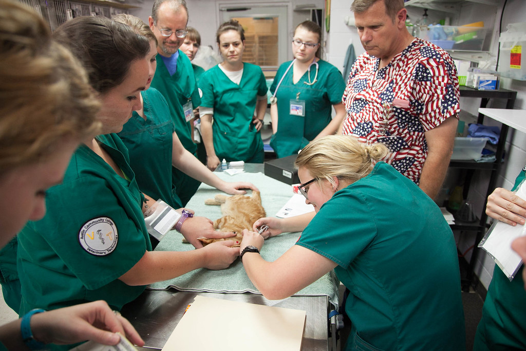 Austin Community College Vet Tech Program | Veterinary Tech … | Flickr