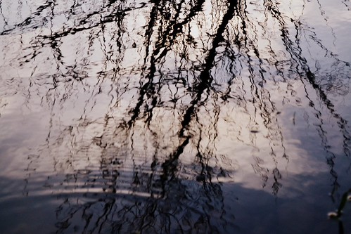 Contemplating | by Emma Crippen